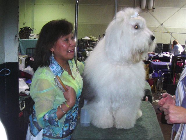 /images/events/10/2008 Raleigh Dog Show 002.jpg